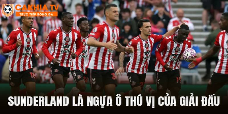 Sunderland là ngựa ô thú vị của giải đấu